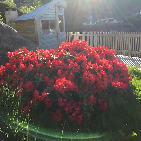 Vila Lofoten By The Sea *