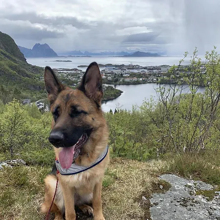 Lofoten By The Sea * 斯沃尔韦尔